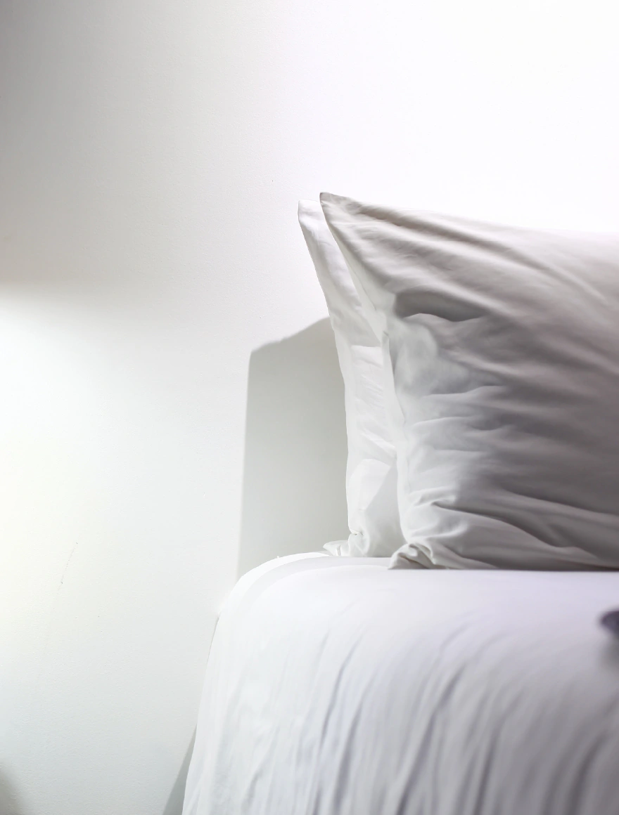 Chimpanzee Bath Pod (Deluxe Double Bed with outside Bathtub)