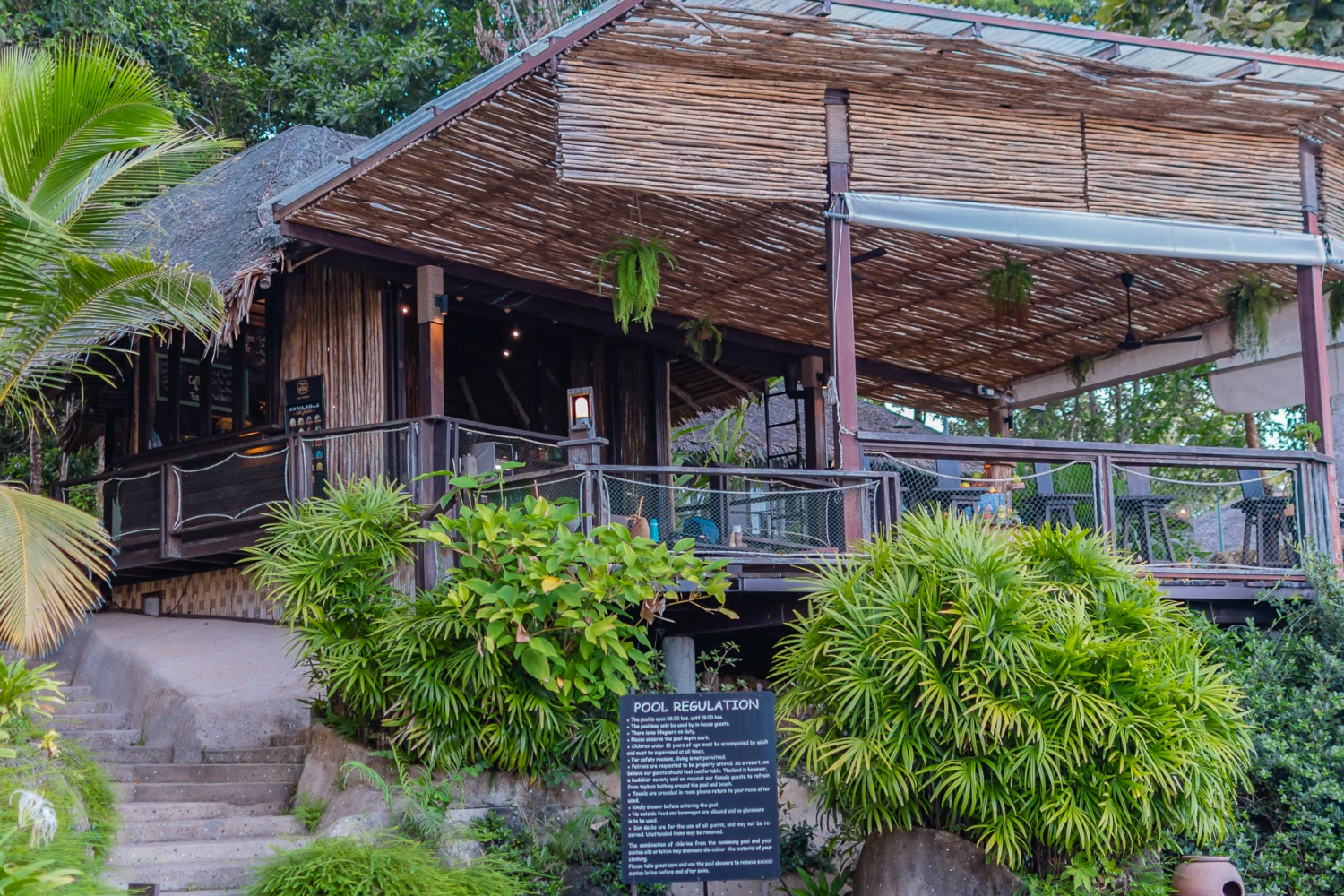 The Jungle Bar