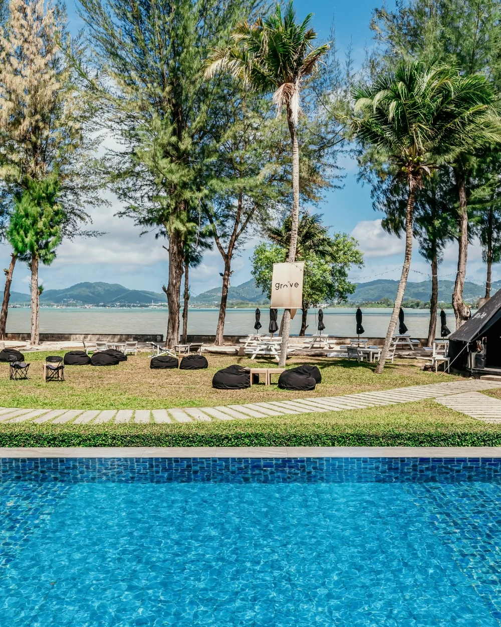 The Mangrove by Blu Monkey