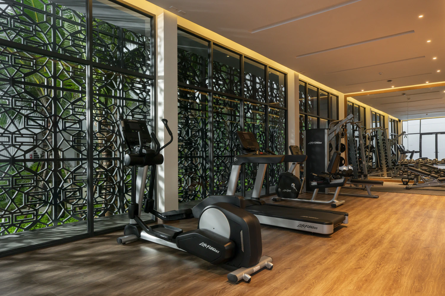 Gym & Fitness Aktivitäten