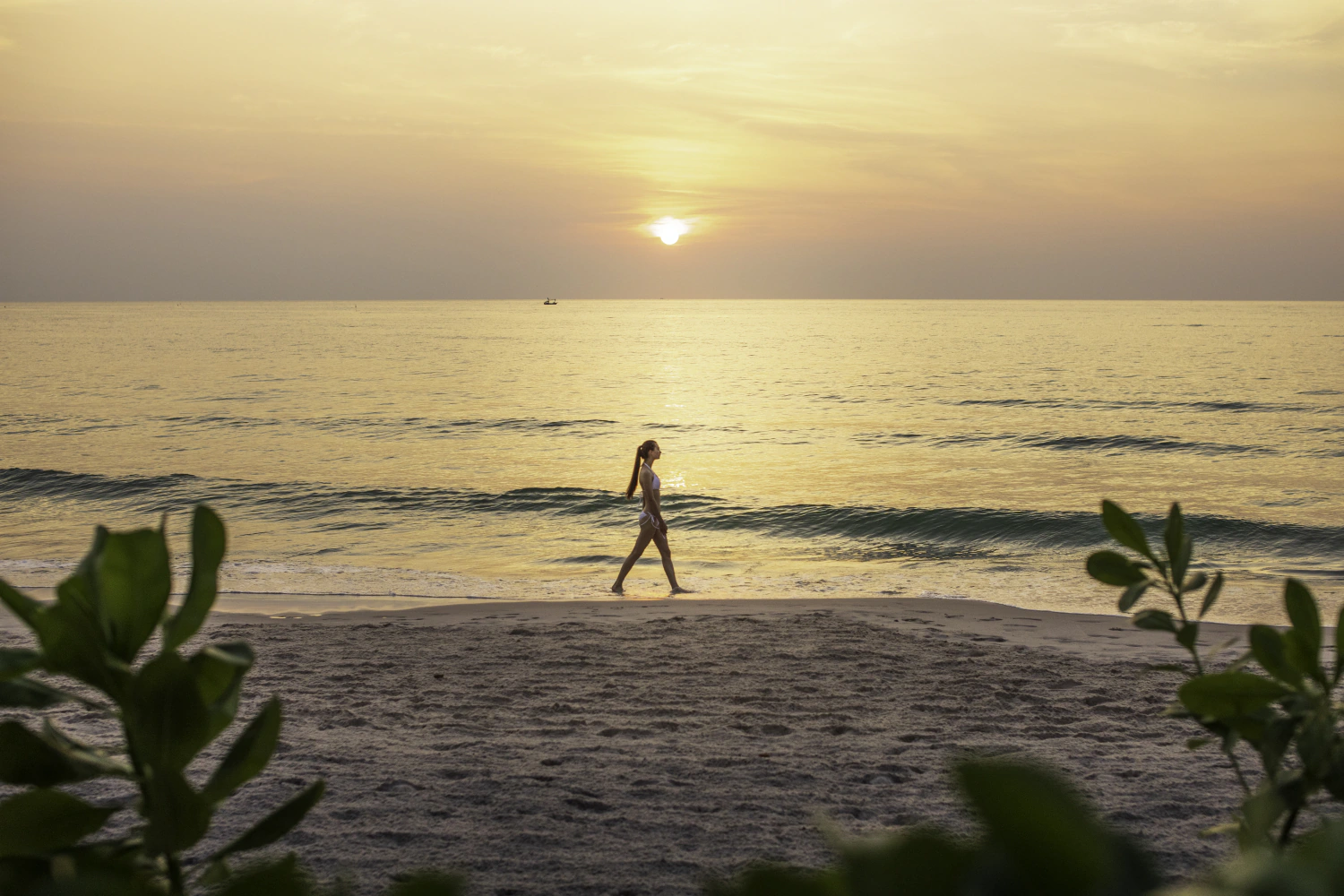 Private Beach Dining