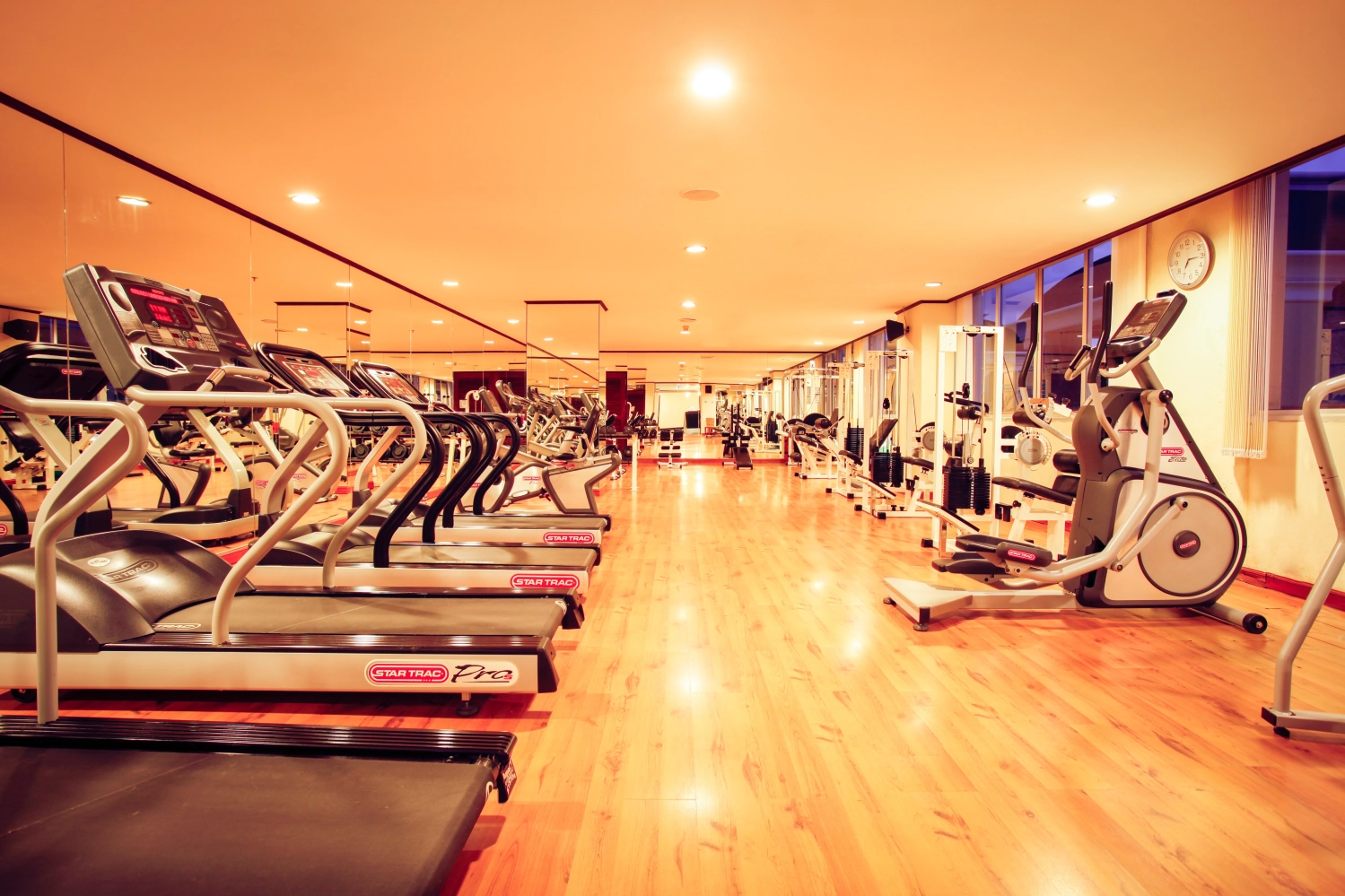 Fitness