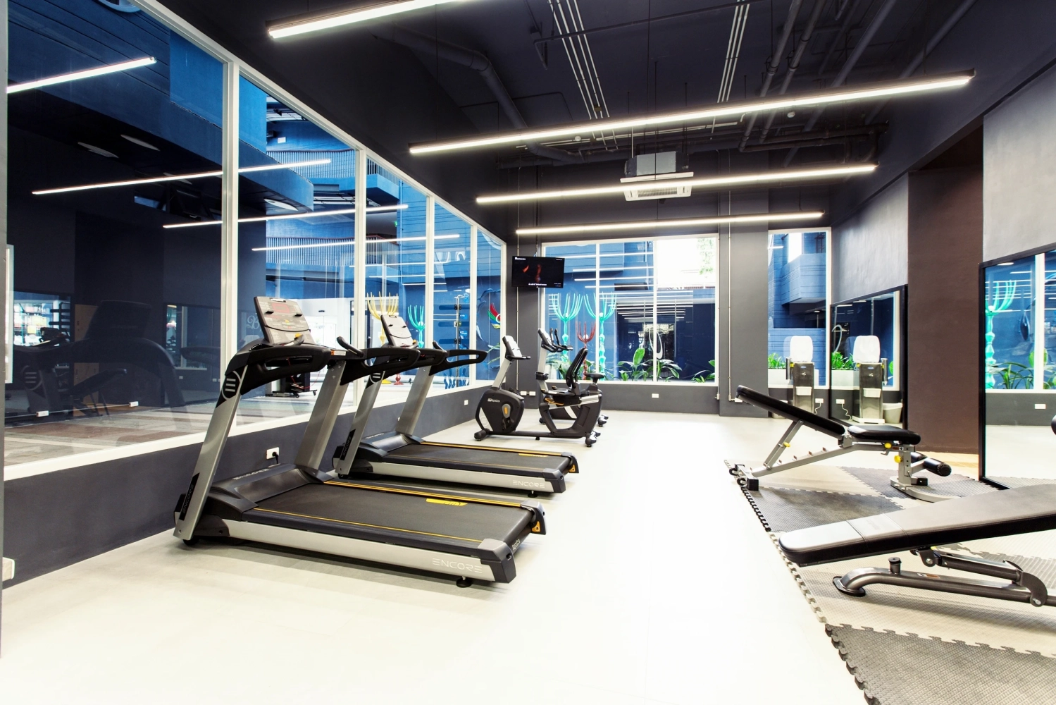 Fitness