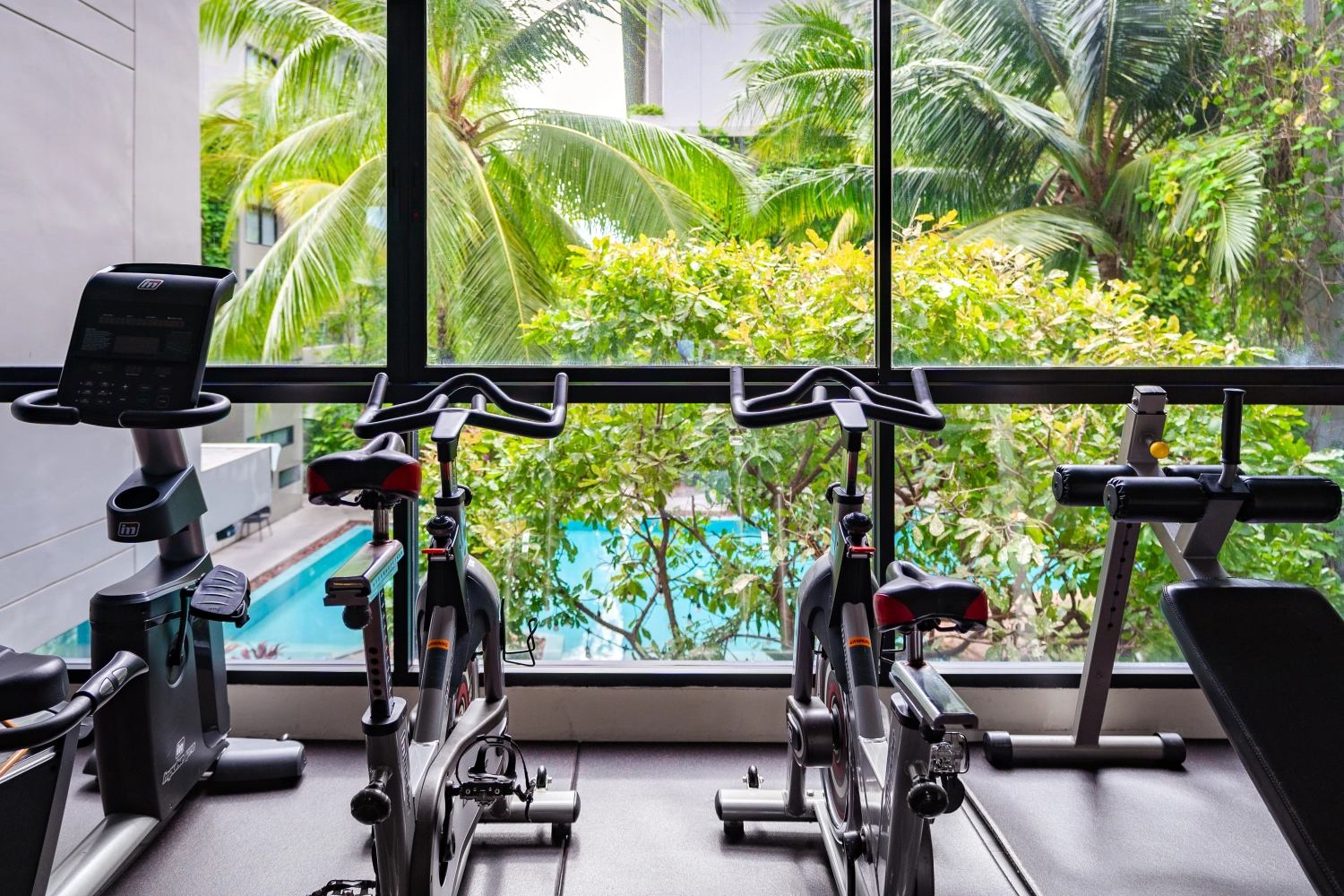 Fitness