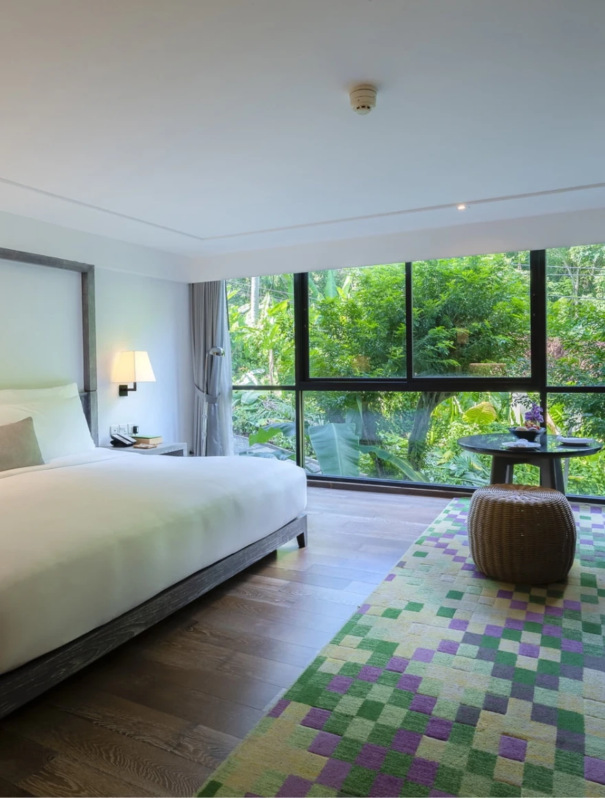 Mountain View Room