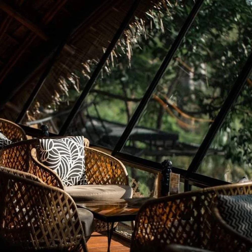 Three Monkeys Restaurant – Nature meets Foodies Paradise