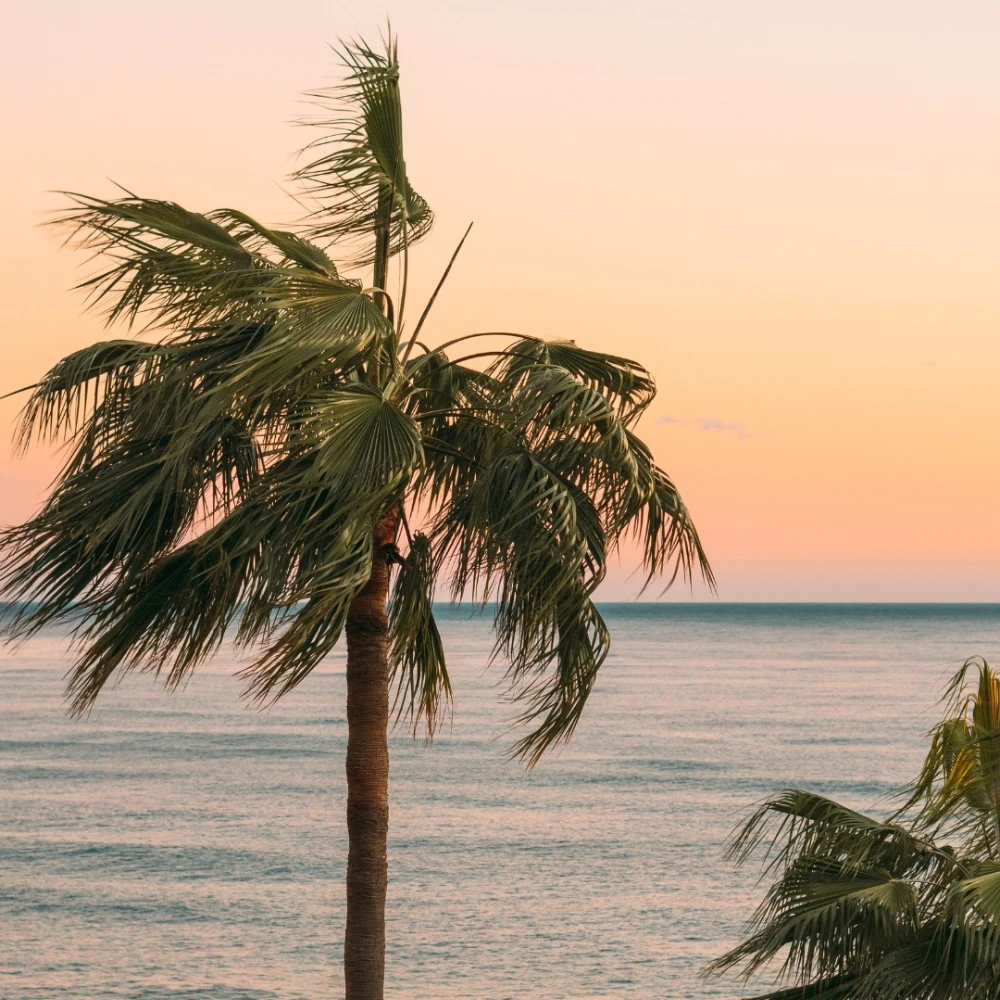 Sunset Magic – Where to Catch the Best Sunsets in Phuket