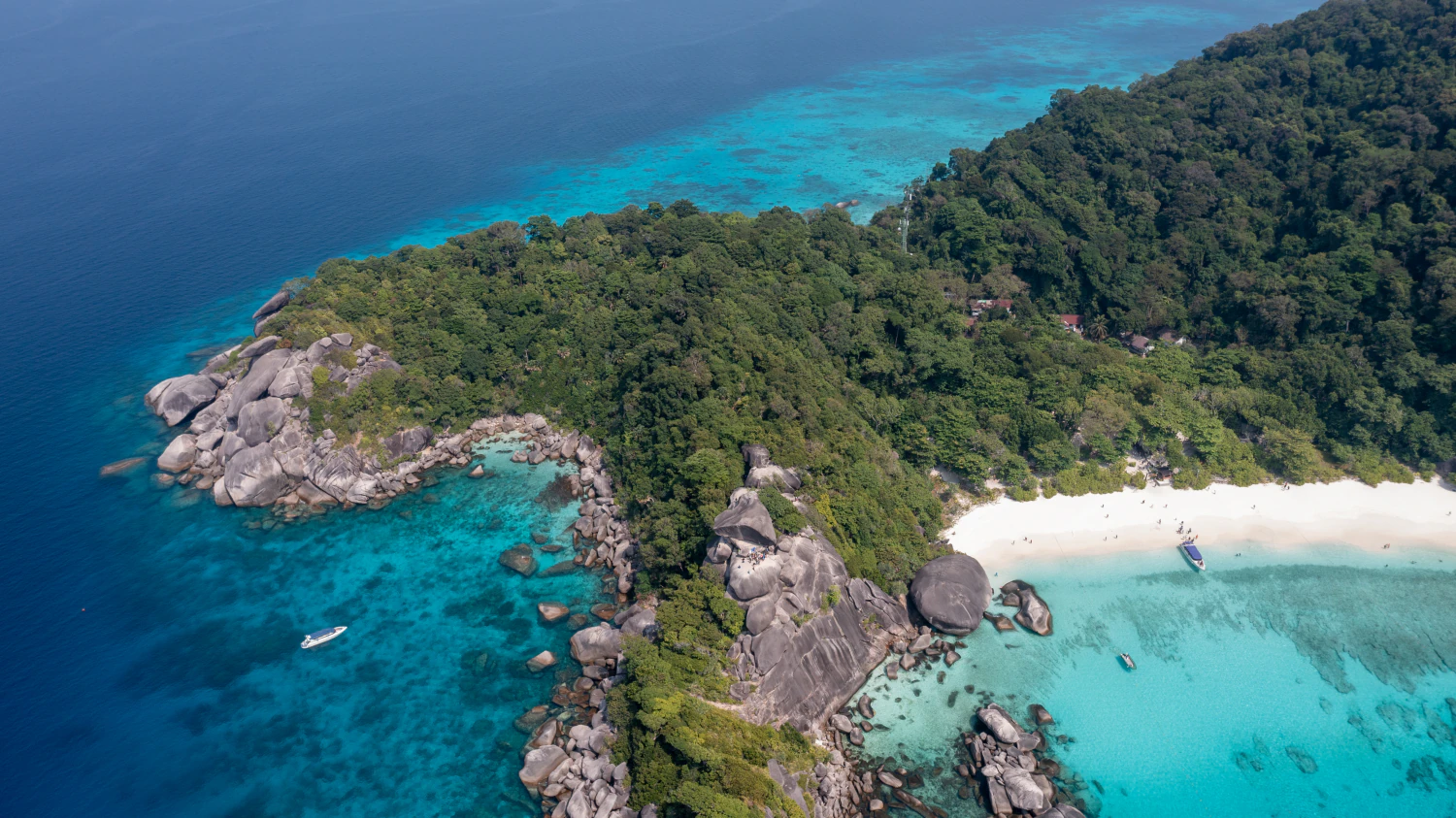 Die besten Tauchplätze rund um Phuket - Similan Islands und Surin Islands