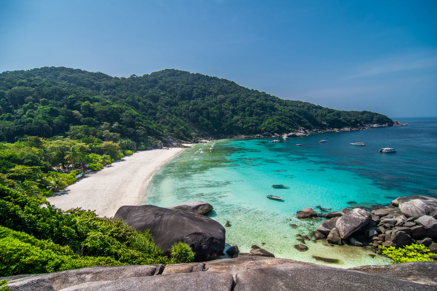 Die besten Tauchplätze rund um Phuket - Similan Islands und Surin Islands