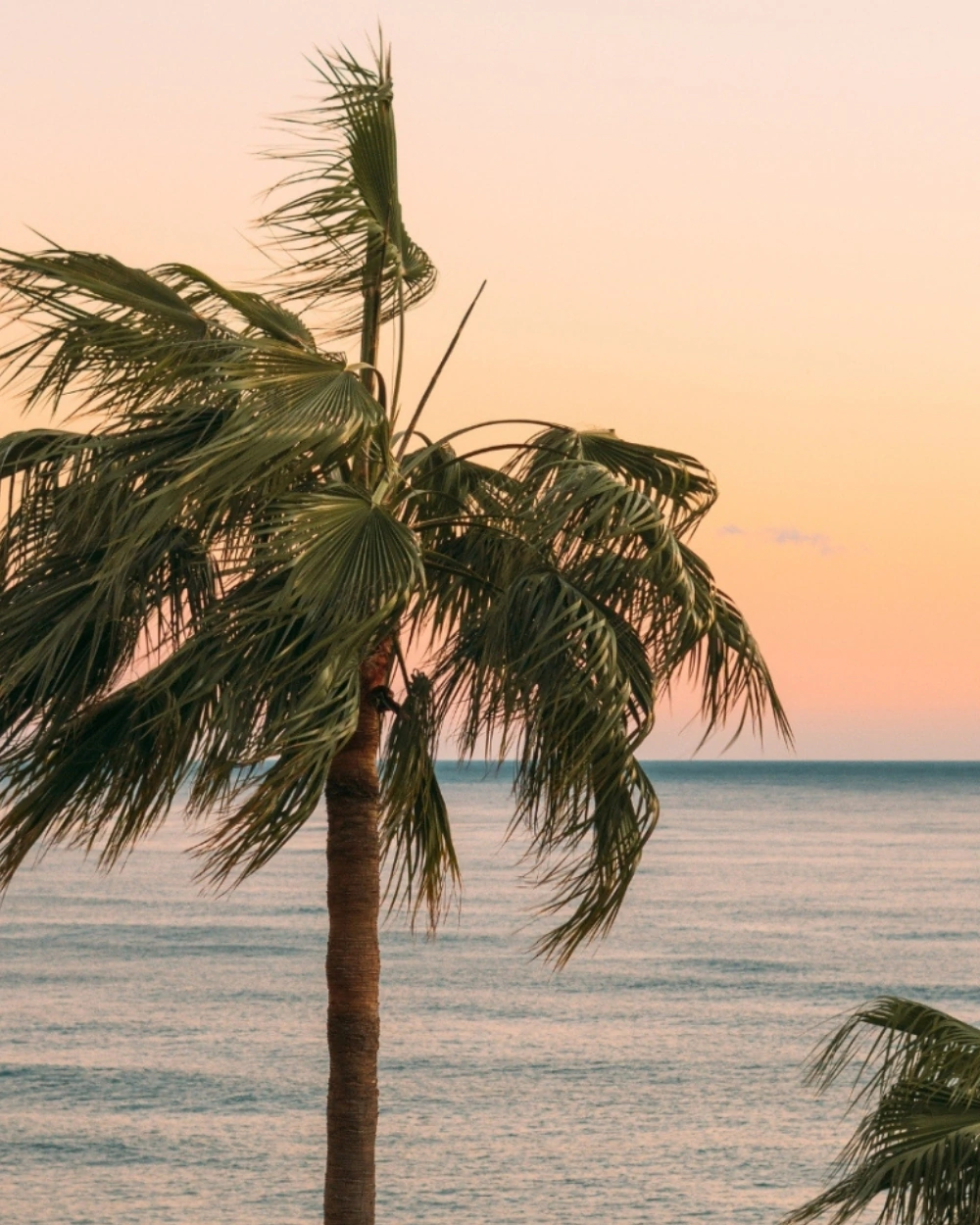 Sunset Magic – Where to Catch the Best Sunsets in Phuket