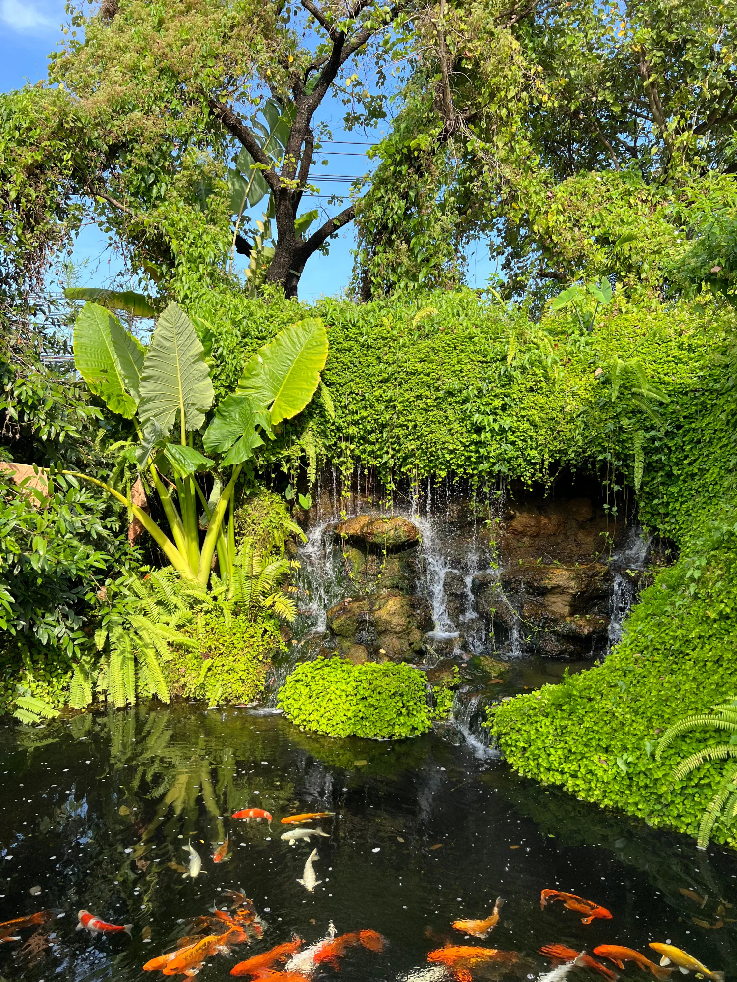 Raga Coffee & Homemade Bakery