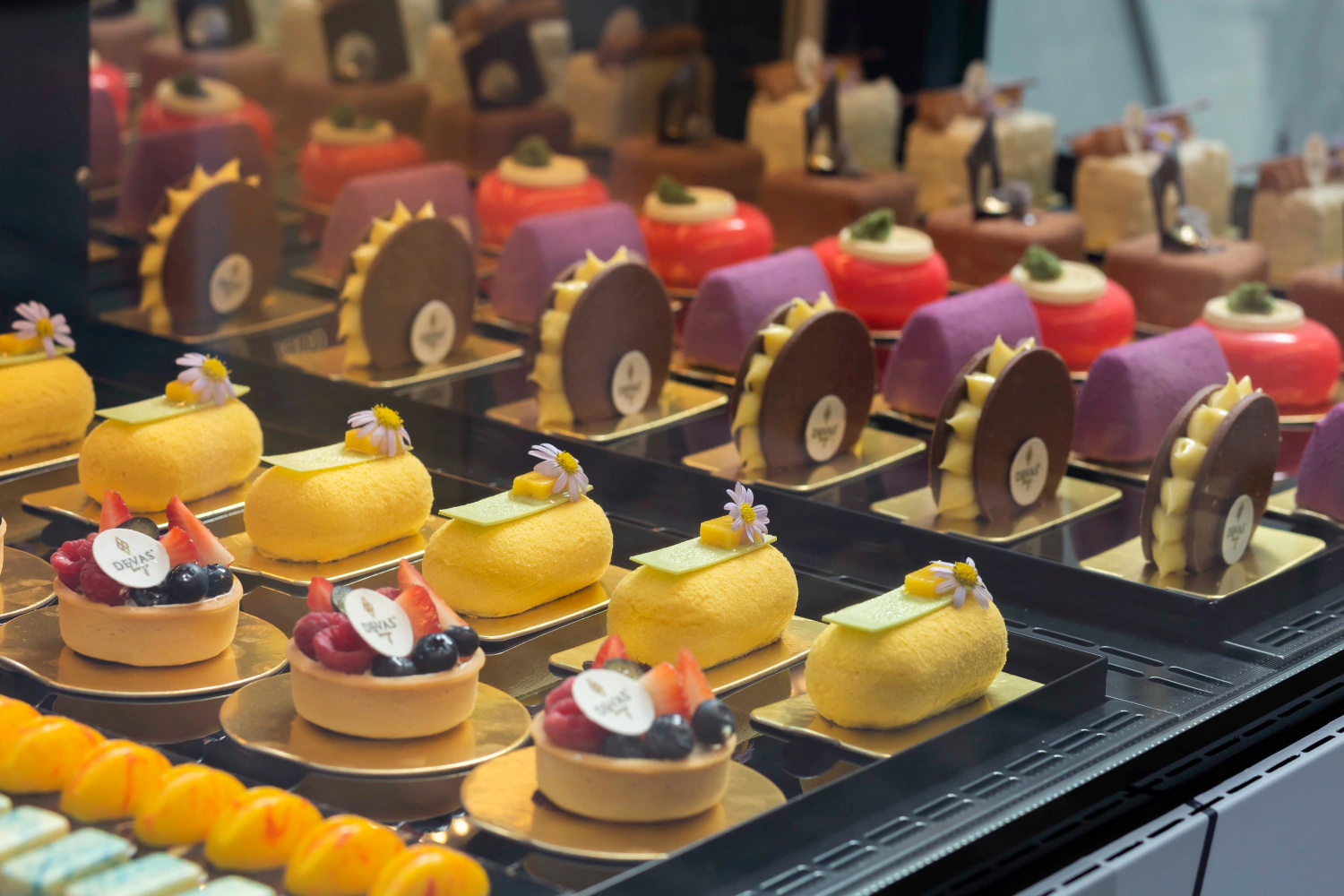 Gastronomic variety: Culinary highlights at the highest level