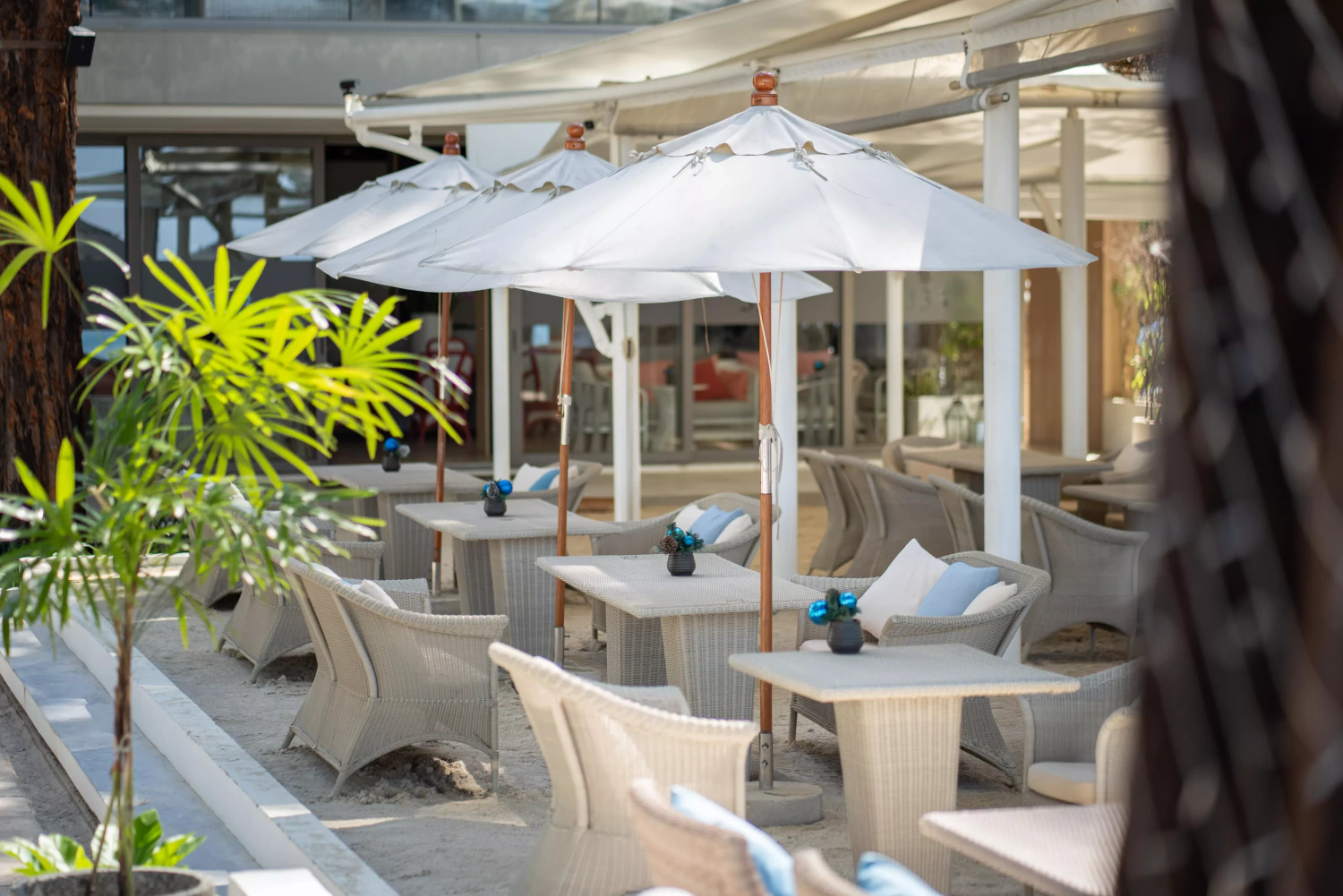 Gastronomic variety: Culinary highlights at the highest level