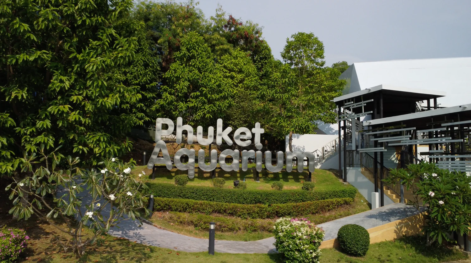 Die besten Aktivitäten und Sehenswürdigkeiten in Cape Panwa - Phuket Aquarium und die Unterwasserwelt der Region